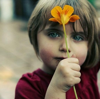 Darczyńca z Katowic