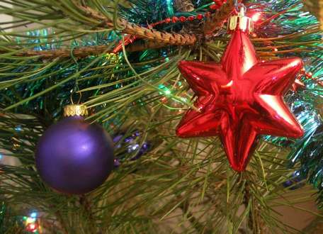 Królewski Karp dla ubogich