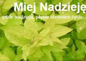 Miej nadzieję … nowy blog spirytystyczny